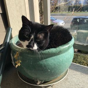 Meet your Posher, Celina